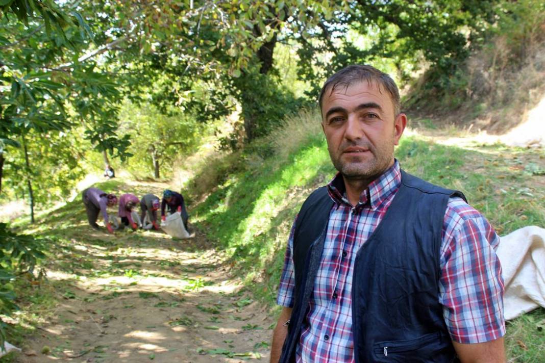 İlk ürün o kentte toplanıyor: Arapların yeni gözdesi! Yurt dışına ihraç ediliyor 11